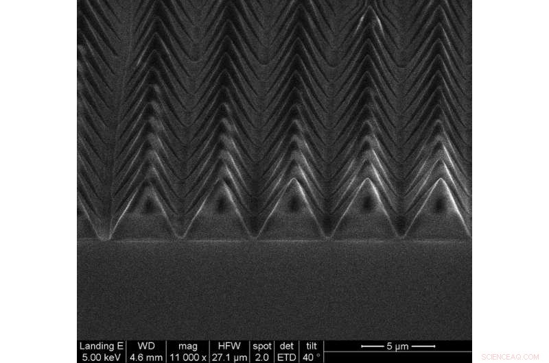 Firefly-Inspired Surfaces Boost LED Bulb Efficiency, Penn State Researchers Reveal