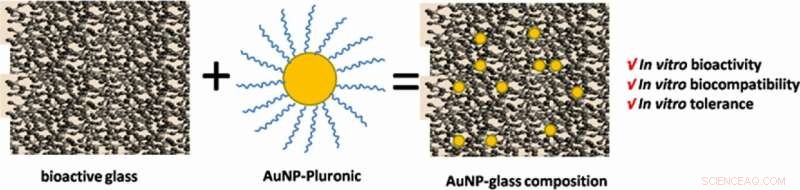 Revolutionary Bioactive Glass-Gold Nanoparticles Ointment for Accelerated Skin Wound Regeneration