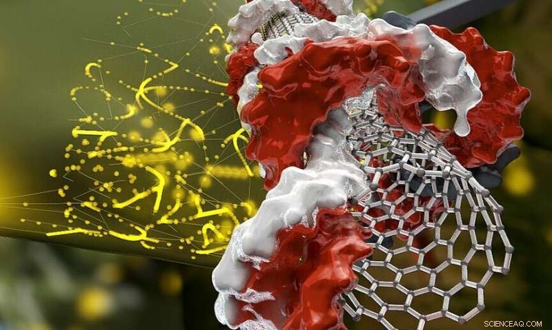 UC Berkeley Breakthrough: Nanotubes Revolutionize Plant Genetic Engineering