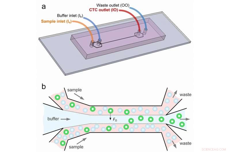 Breakthrough Microfluidic Device Isolates Cancer Cells from Blood for Rapid Detection