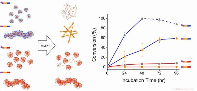 New Research Reveals Design Principles for Disease-Sensing Nanomaterials
