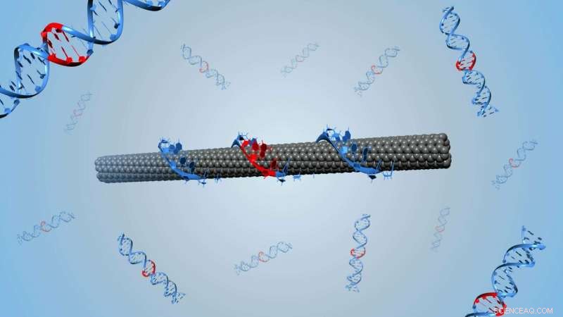 Directed Evolution: Revolutionizing Nanoparticle Engineering