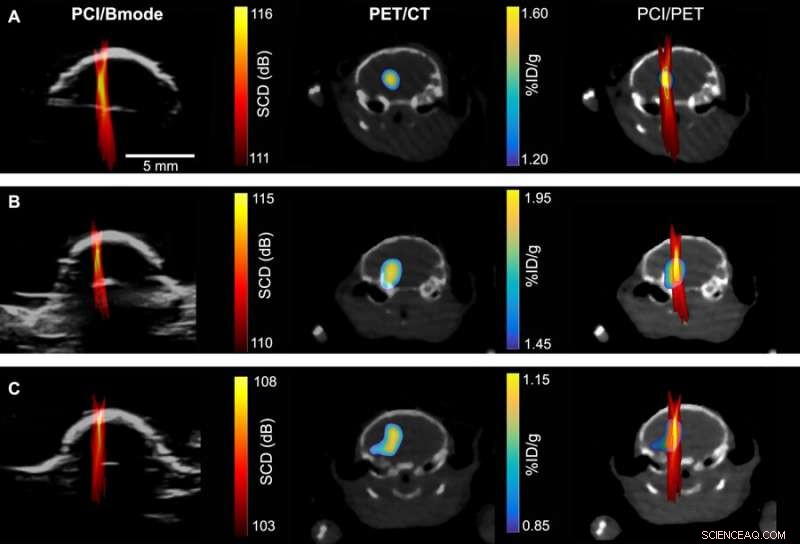 Breakthrough  Painting  Technique Revolutionizes Precision Drug Delivery