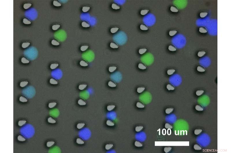 Synthetic Protocells Harness DNA Logic Gates for Communication and Computing