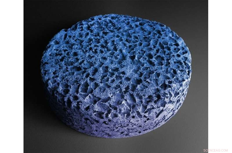 Nature-Inspired Nanoparticles: Revolutionizing Safer Cancer Drug Delivery