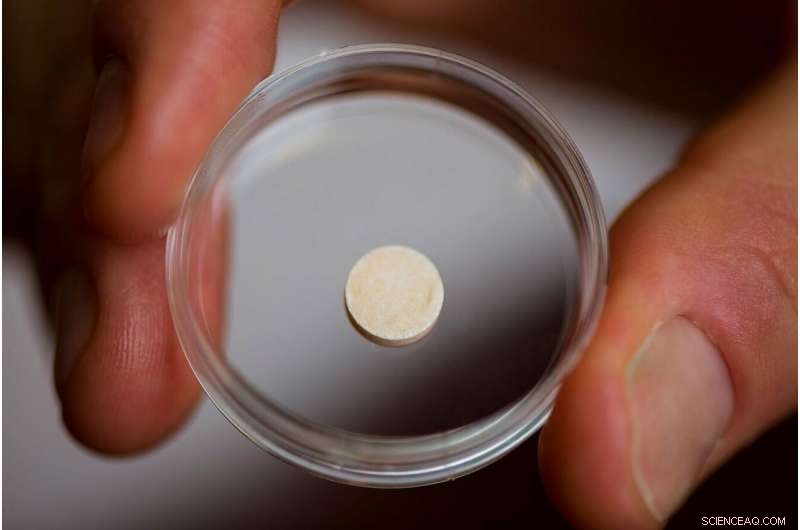 Nature-Inspired Nanoparticles: Revolutionizing Safer Cancer Drug Delivery