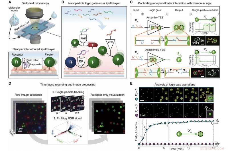 Revolutionary Lipid Nanotablets: Enabling Single-Nanoparticle Boolean Logic in Nano-Bio-Computing