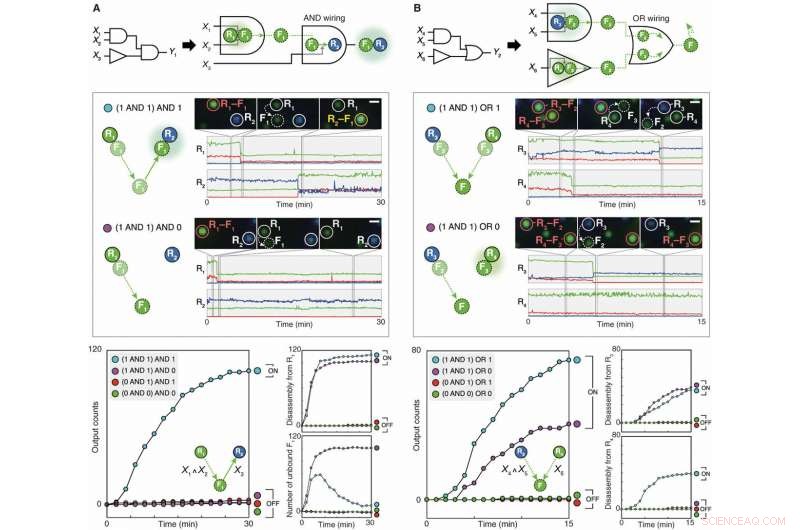 Revolutionary Lipid Nanotablets: Enabling Single-Nanoparticle Boolean Logic in Nano-Bio-Computing