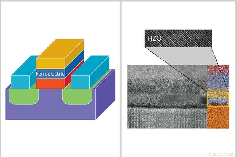 A Decade of Innovation: Pioneering Negative Capacitance Transistors for Ultra-Efficient Electronics