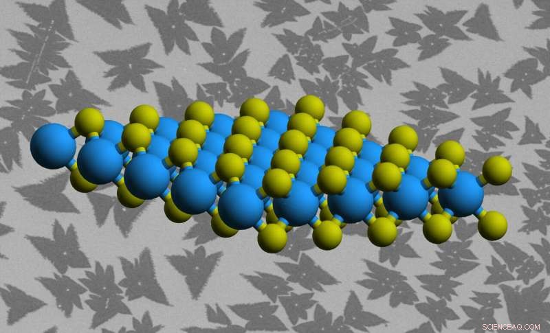 Exploring Imperfections in 2‑D Materials: Insights from NanoARPES
