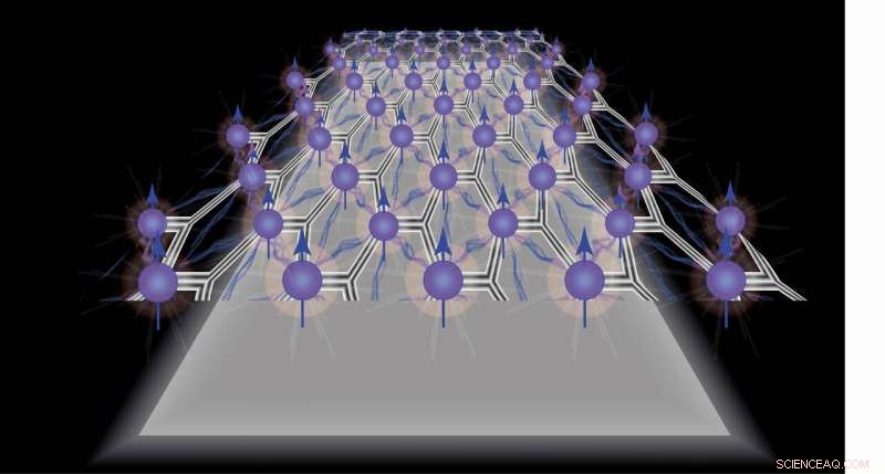 Demonstrated Spin Alignment in 2D Molybdenum Disulfide Layer