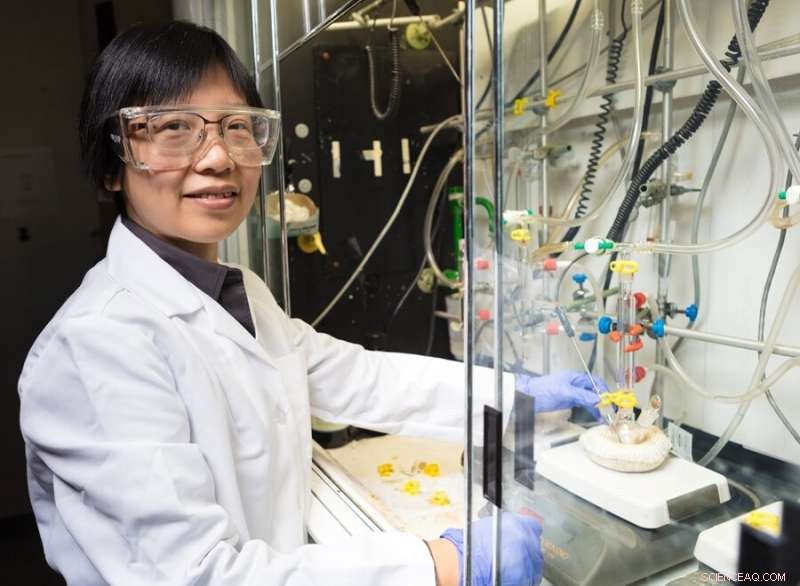 University of Arkansas Discovers Low‑Cost Nickel‑Iron Nanoparticle Catalyst for Efficient Hydrogen Production