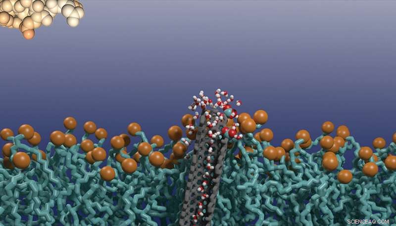 Revolutionary Biosensor Enhances Cancer Diagnosis Accuracy