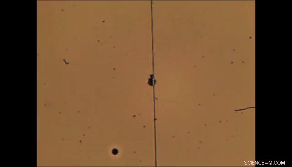 Nanoscale Lamb‑Wave Motors Operate Without Liquids: Advancing Micro‑Actuation