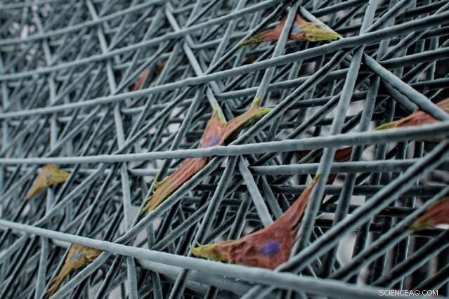 Revolutionary 3D Printing Technique Produces Cell-Scale Lattice Structures for Bio-Scaffolding