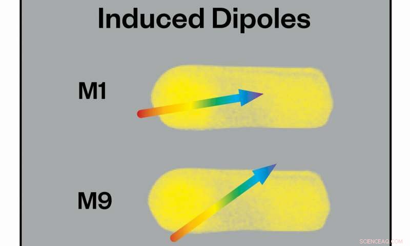 Chemicals Harness Induced Dipoles to Suppress Gold Nanoparticle Plasmons