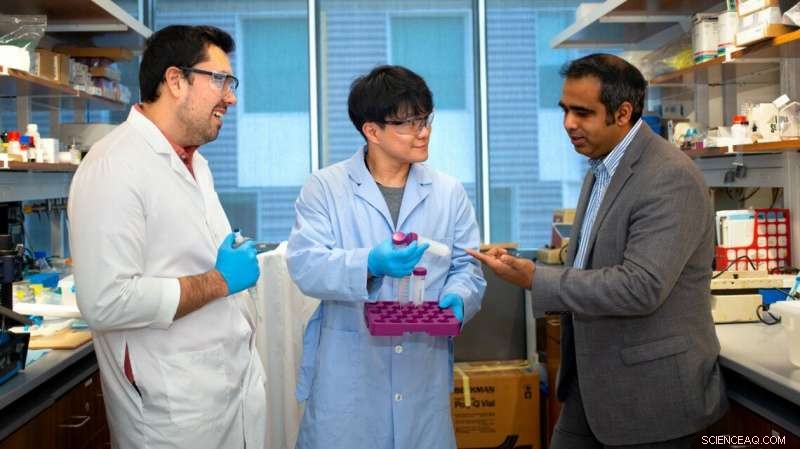 Nanovaccine Enhances Immune Function for Metabolic Syndrome Patients