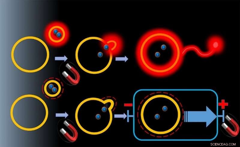 Liposomes Deliver Light and Electrical Signals
