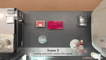 Rapid Cellular microRNA Detection with miRacles: 1‑Hour Assay for Reliable Biomarker Analysis