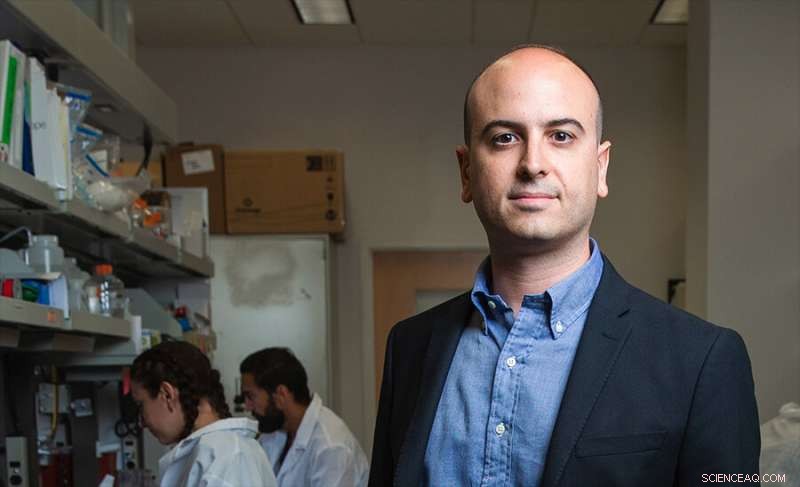 Programmable DNA‑Protein Lego Constructs Form Innovative 3‑D Tetrahedral Cages