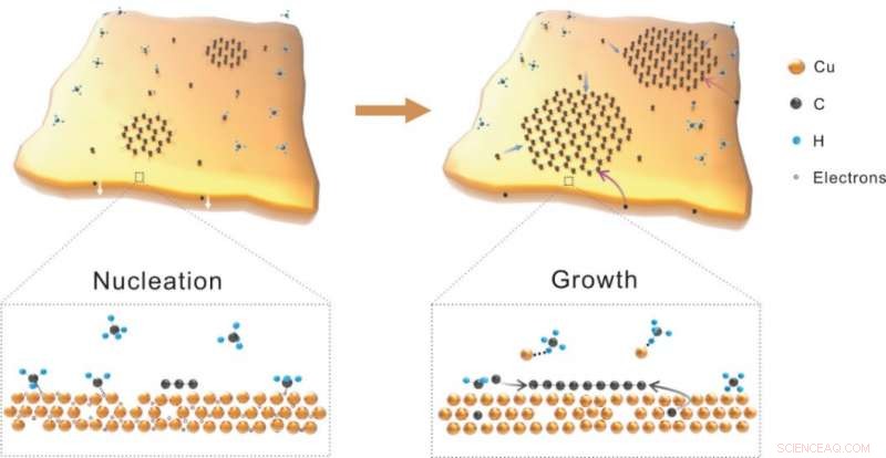 Record‑Breaking Growth of Graphene Single Crystals Achieved