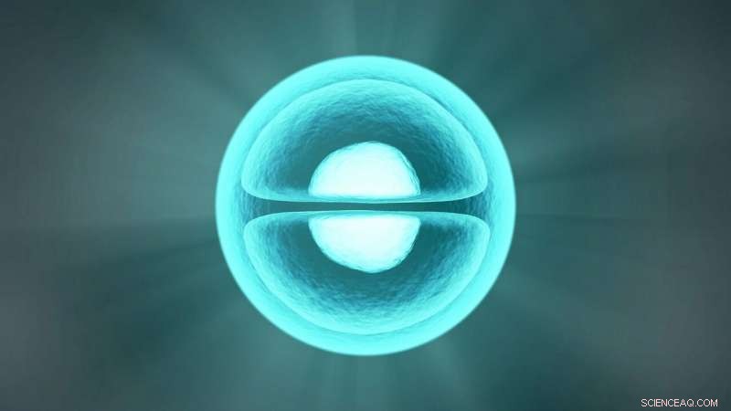 Scientists Achieve Real-Time, Atomic-Scale Imaging of Nanoparticle Formation