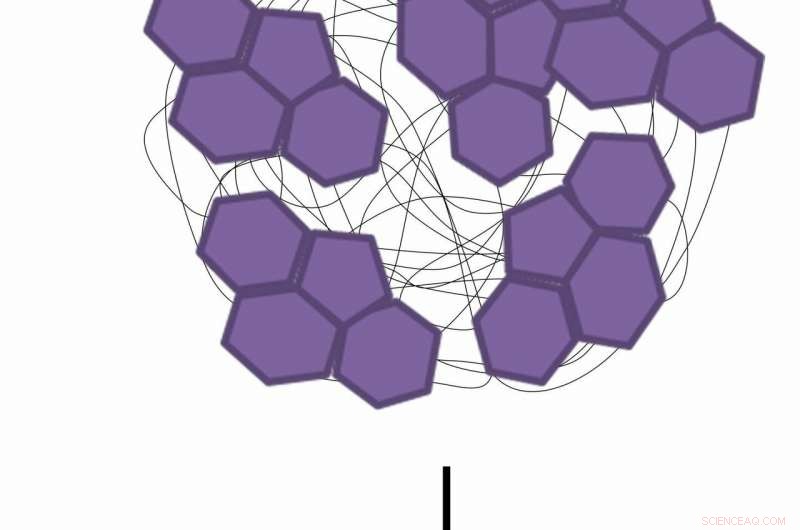 Revolutionary Single-Dose Antidotes: Safeguarding Lives Against Opioid Overdoses