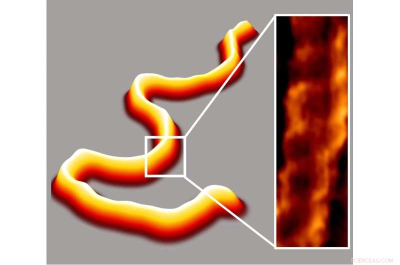 Fast 5‑Minute Sample Prep by JILA Enhances DNA Imaging and Analysis