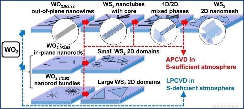 Revolutionary Flexible Process Unlocks Customizable Nanomaterials