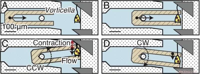 Harnessing Microorganisms to Drive Smart Microsystem Innovation