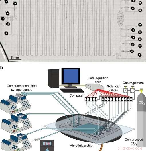 Therapeutics‑on‑a‑Chip: Accelerating Synthetic Protein Production for Point‑of‑Care Treatments