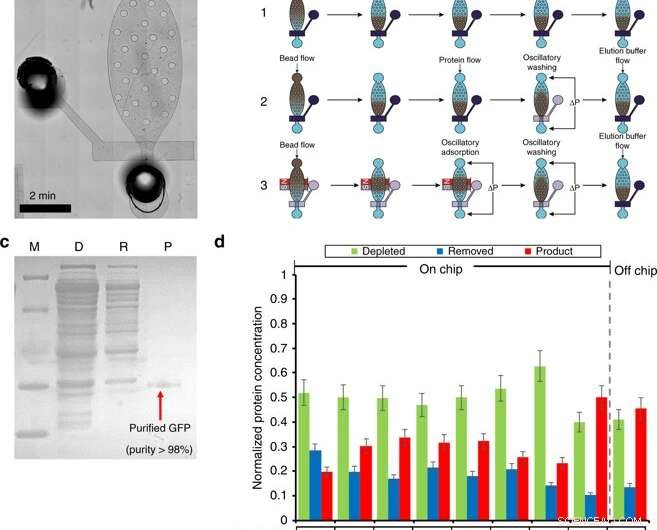Therapeutics‑on‑a‑Chip: Accelerating Synthetic Protein Production for Point‑of‑Care Treatments