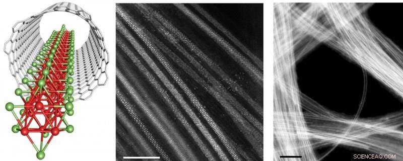 Fabricating Atomically Precise 1‑D Molybdenum Telluride Wires Inside Carbon Nanotube Templates