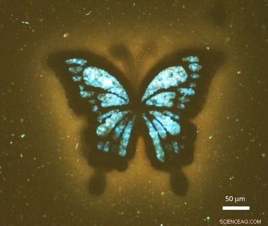 Transforming Recovered Carbon Black into Vibrant Multicolour Fluorescent Displays