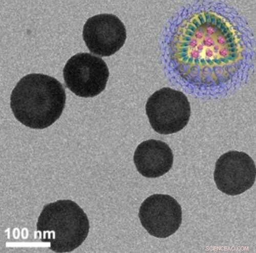 Nanovesicle Carriers Enable Precise Targeted Chemotherapy Delivery