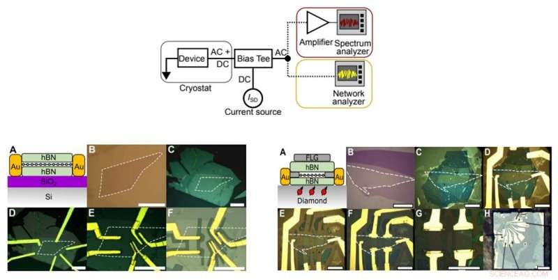 Electron‑Phonon Instabilities in Graphene Revealed by Noise Analysis