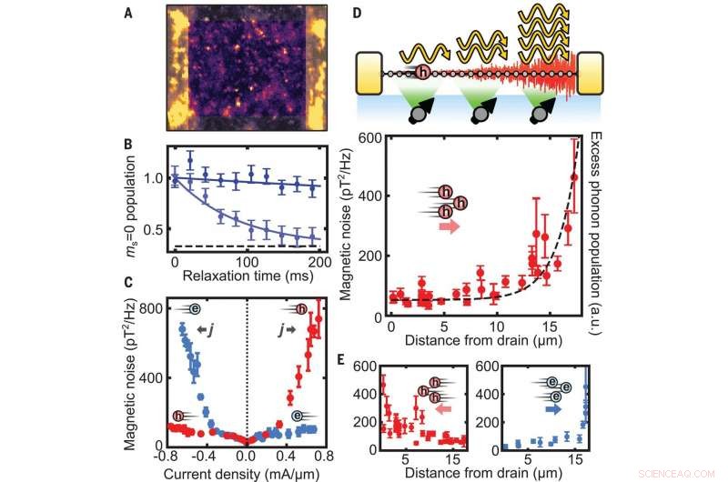 Electron‑Phonon Instabilities in Graphene Revealed by Noise Analysis