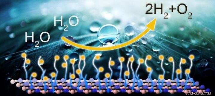 Eco-Friendly Energy Catalyst: Modified White Graphene for Sustainable Power