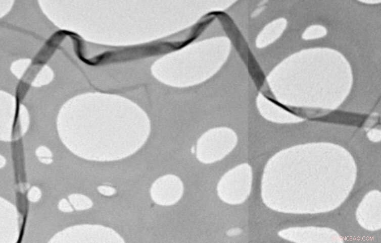 Unexpected Breakthrough: New Wonder Material Could Transform Batteries and Electronics