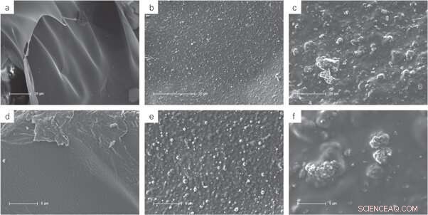 Enhancing Bone Precursor Differentiation with Organically Modified Hydroxyapatite Nanoparticles