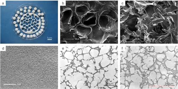 Enhancing Bone Precursor Differentiation with Organically Modified Hydroxyapatite Nanoparticles