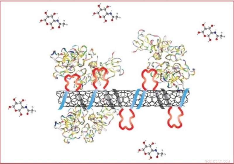 Innovative Synthetic Antibodies Enhance Disease and Toxin Detection