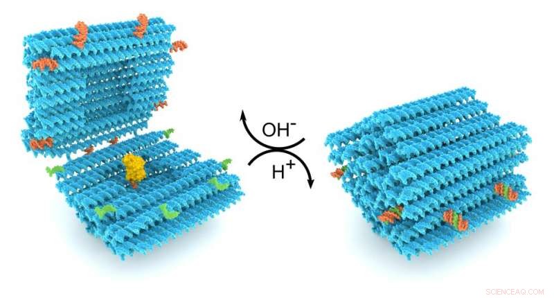 Revolutionary DNA Origami Nanocapsule Enables Targeted Drug Delivery
