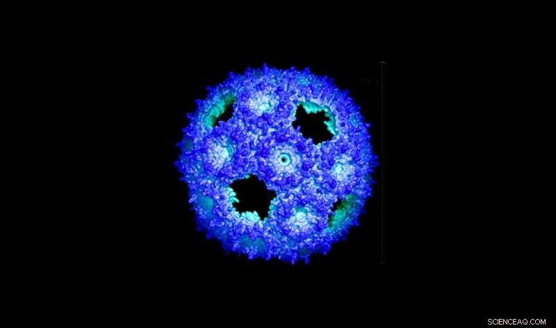 Nature-Inspired Synthetic Nanofactory: Harnessing Bacterial Nano-Engineers