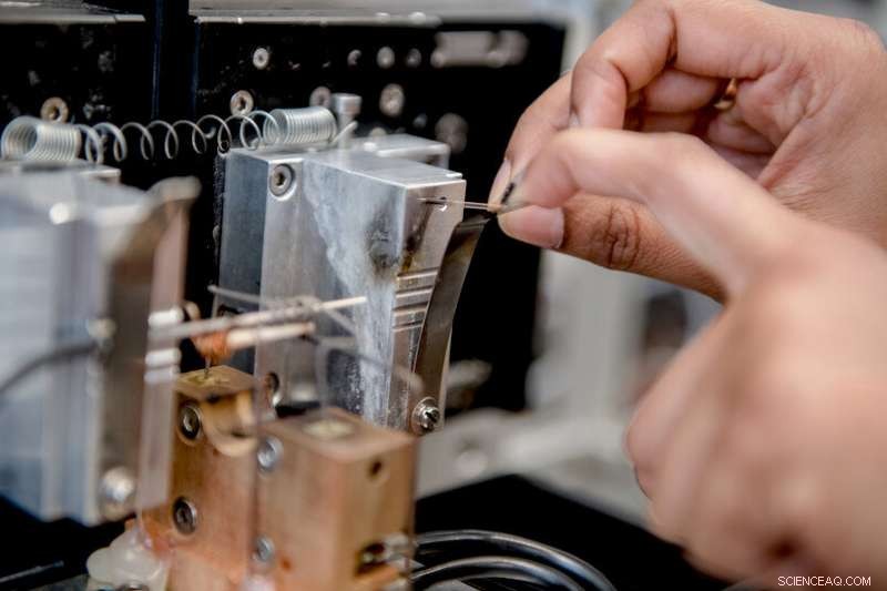 Tracking the Lifecycle of Nanometer-Scale Catalyst Particles