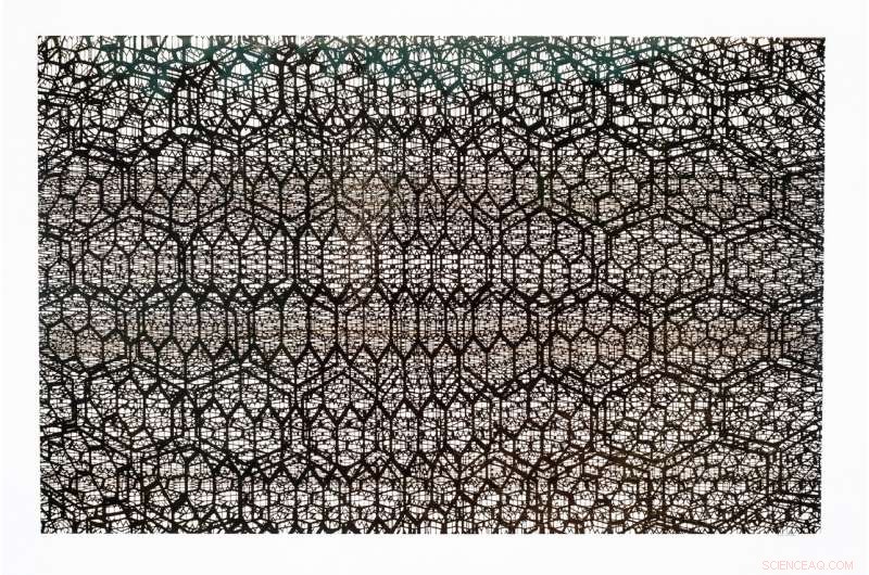 Graphene Art: No Ink Needed in Joseph Cohen’s ‘Where Do I Stand?’, Created at Rice University