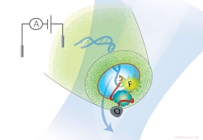 New System Enhances Accuracy in Detecting Rare Disease Biomarkers