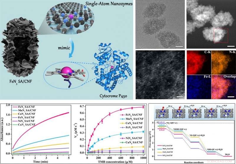 Scientists Unveil a New Class of Single-Atom Nanozymes Mimicking Cytochrome P450