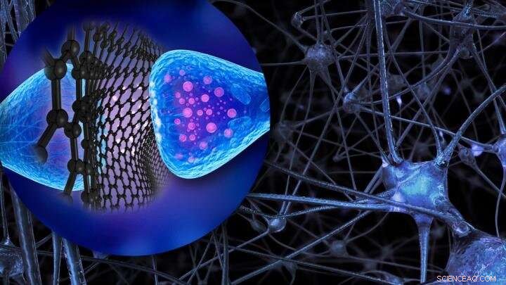 Graphene Nanoflakes Targeted Control of Neuron Activity: A Breakthrough Study