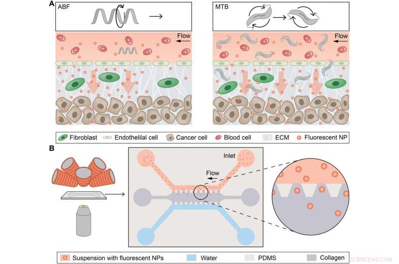 Micropropellers Enhance Convection-Driven Nanoparticle Delivery